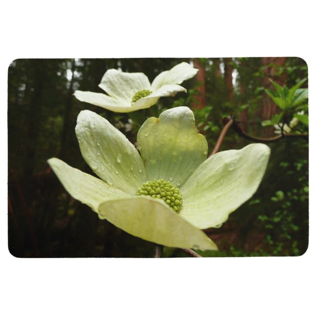 Dogwoods and Redwoods in Yosemite National Park Floor Mat (Front)