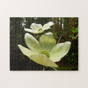 Dogwoods and Redwoods in Yosemite National Park Jigsaw Puzzle