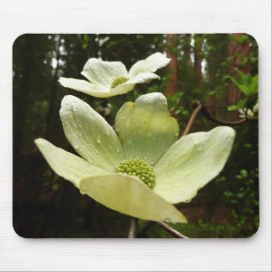 Dogwoods and Redwoods in Yosemite National Park Mouse Mat