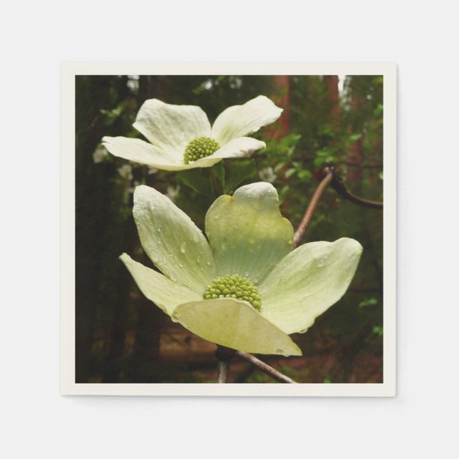 Dogwoods and Redwoods in Yosemite National Park Napkin (Front)