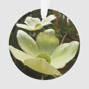 Dogwoods and Redwoods in Yosemite National Park Ornament