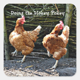 Doing the Hokey Pokey,  Square Sticker