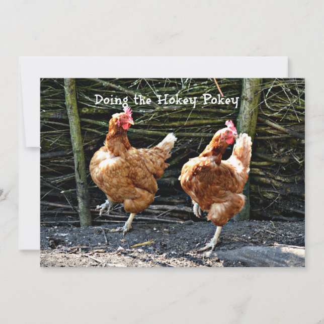 Doing the Hokey Pokey, The Hokey Pokey Chickens, Card (Front)