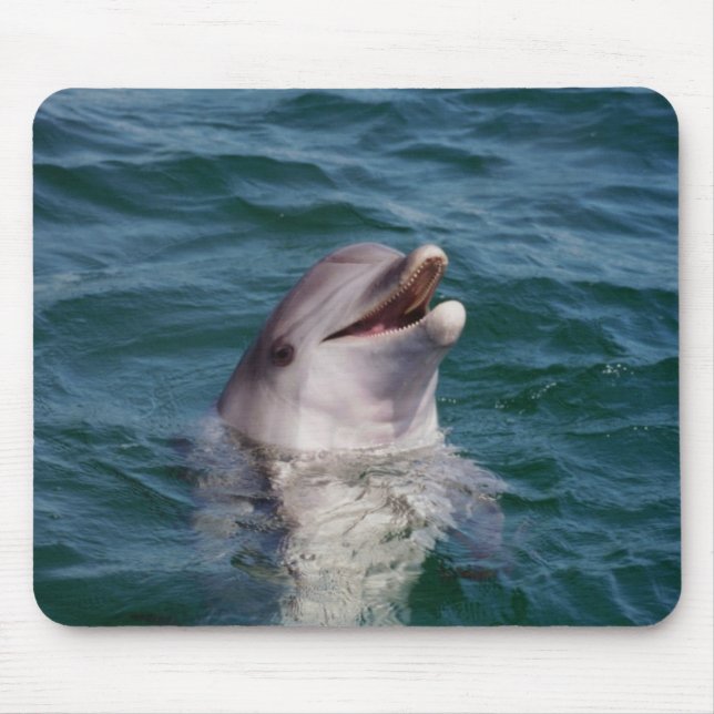 Dolfin Mouse Mat (Front)