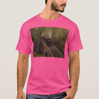 Dolgoch Viaduct 1 T-Shirt