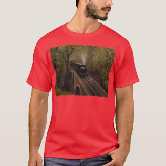 Dolgoch Viaduct T-Shirt