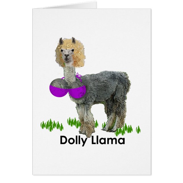 Dolly Llama (Front)