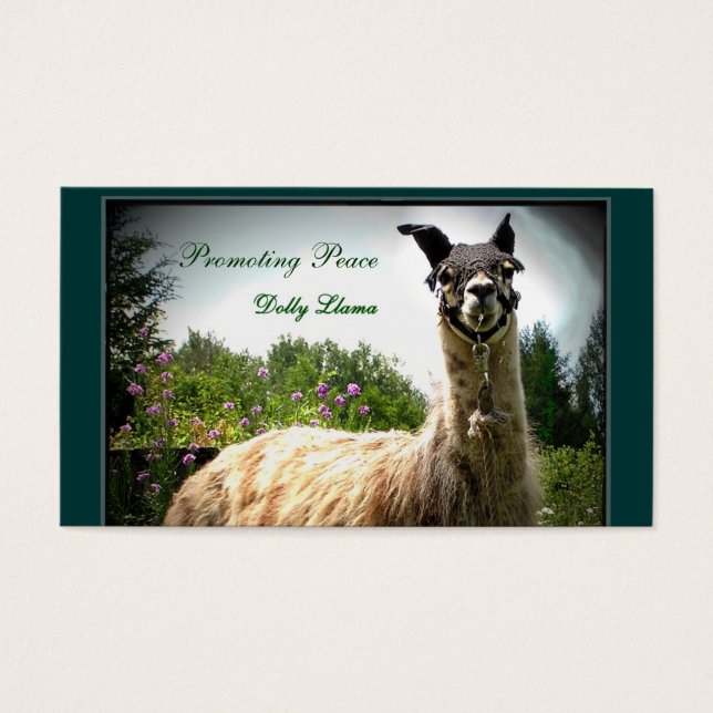 Dolly Llama Busininess Cards (Front)