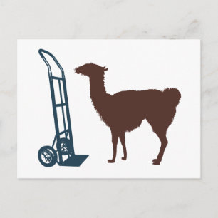 Dolly llama postcard
