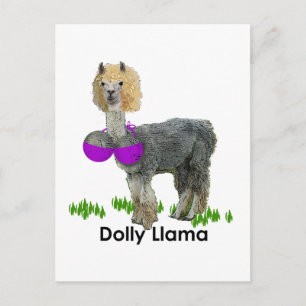 Dolly Llama Postcard