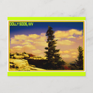 "DOLLY SODS" ART POSTCARD