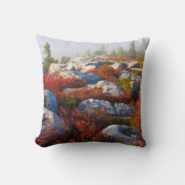 Dolly Sods Wilderness Fall Scenic With Fog Cushion (Front)
