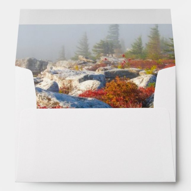 Dolly Sods Wilderness Fall Scenic With Fog Envelopes (Back (Bottom))