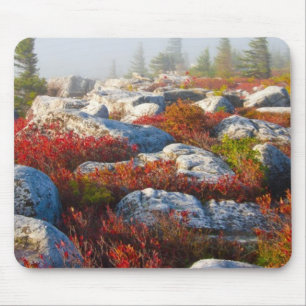 Dolly Sods Wilderness Fall Scenic With Fog Mouse Mat