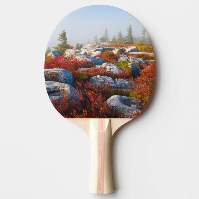 Dolly Sods Wilderness Fall Scenic With Fog Ping Pong Paddle (Front)