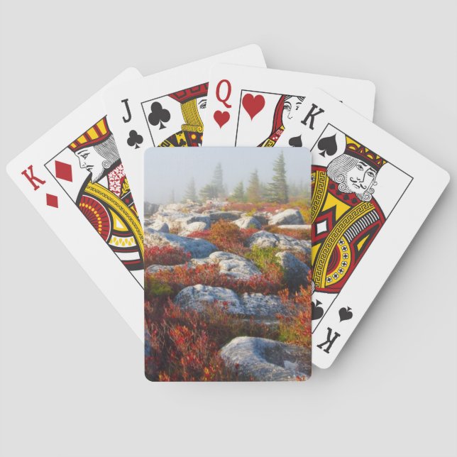 Dolly Sods Wilderness Fall Scenic With Fog Playing Cards (Back)