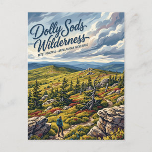 Dolly Sods Wilderness West Virginia Postcard