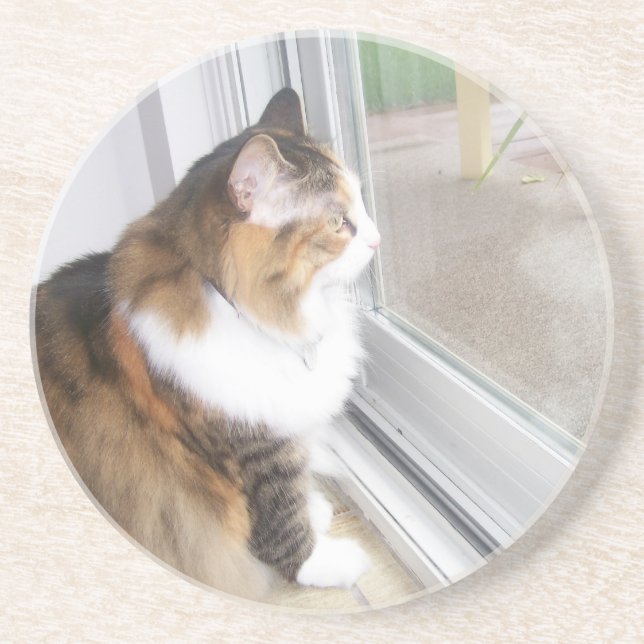 Dolly the Cat Coaster (Front)