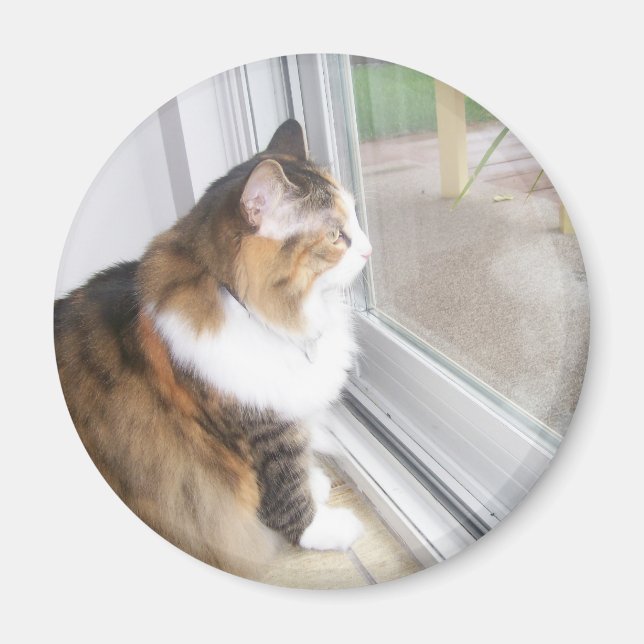 Dolly the Cat Looking out Window Magnet (Front)