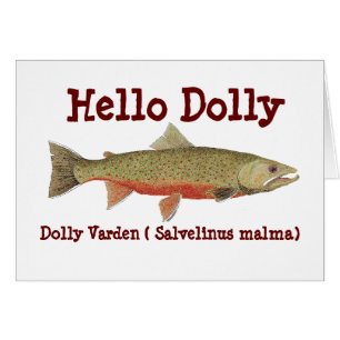 Dolly Varden Card