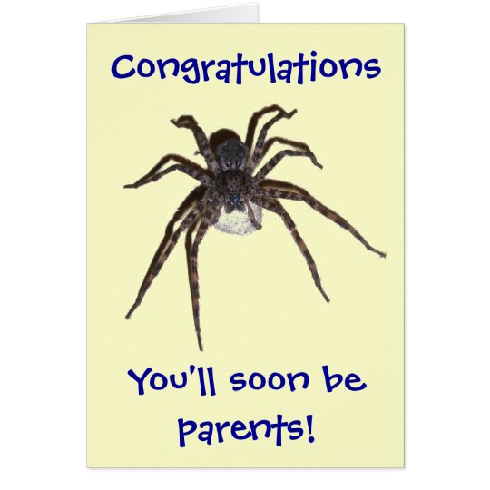 Dolomedes Congratulations Expectant Parents Card