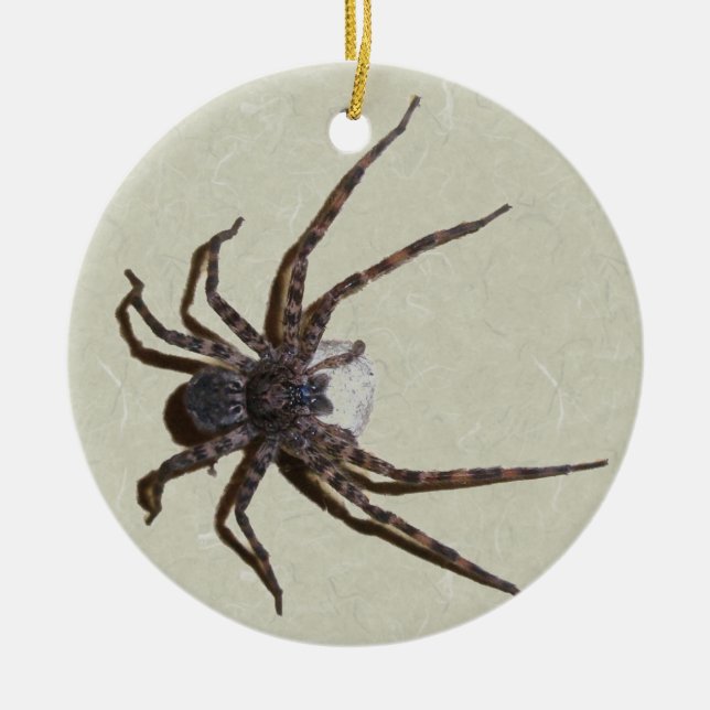 Dolomedes Mummy Spider Christmas Ornament (Front)
