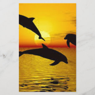 dolphin