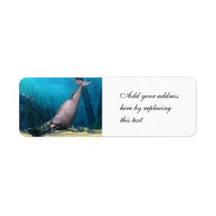 Dolphin