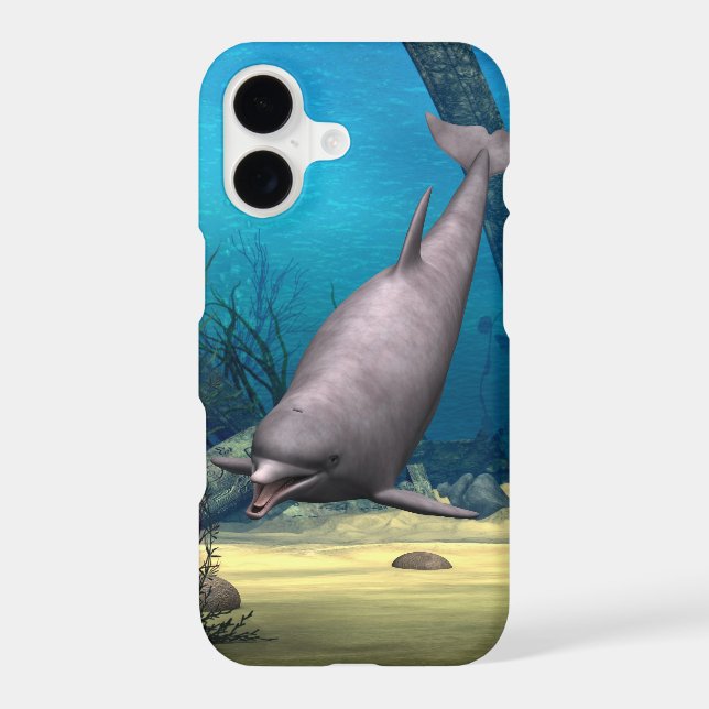 Dolphin (Back)