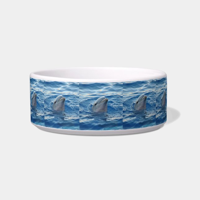 Dolphin20151021 Bowl (Left)