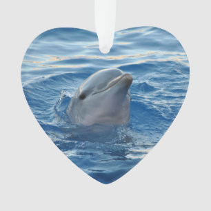 Dolphin20151021 Ornament