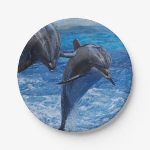 dolphin-104.jpg paper plate