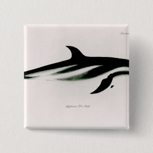 Dolphin 15 Cm Square Badge