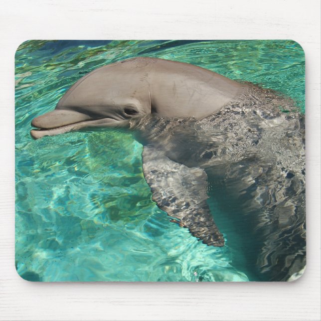 Dolphin 2 mouse mat (Front)