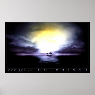 Dolphin 2 poster