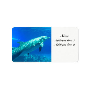 Dolphin address labels