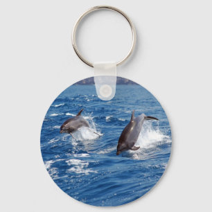 Dolphin Adventure Key Ring