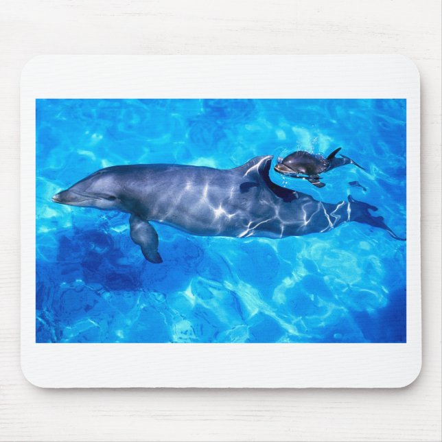 Dolphin and Baby Mouse Mat (Front)