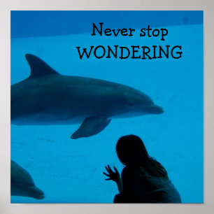 Dolphin and Ocean "Never Stop Wondering" Poster