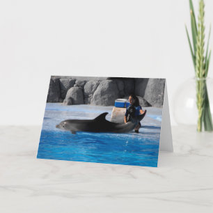 Dolphin and trainer in Spain Holiday Card