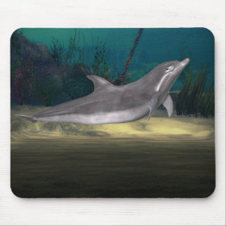dolphin at play mouse mat