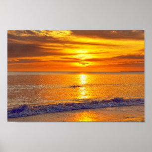Dolphin at Sunset, Fort Myers Beach, Florida Poster