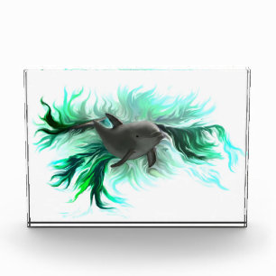 Dolphin Baby Photo Block