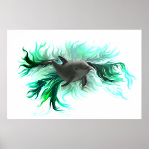 Dolphin Baby Poster
