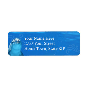 Dolphin Blue Ocean Return Address