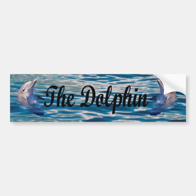 Dolphin Bumper Sticker (Front)
