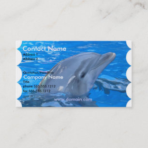 Dolphin Business Card