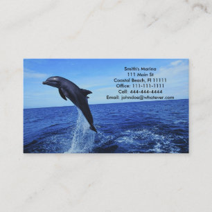 Dolphin Business-Personal Card