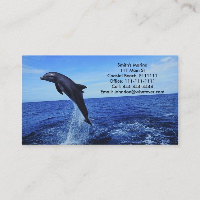 Dolphin Business-Personal Card (Front)