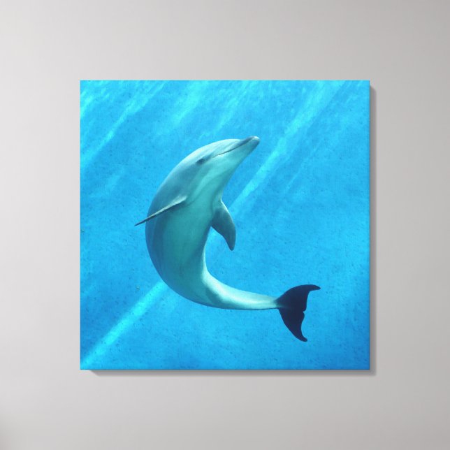 Dolphin Canvas Print (Front)